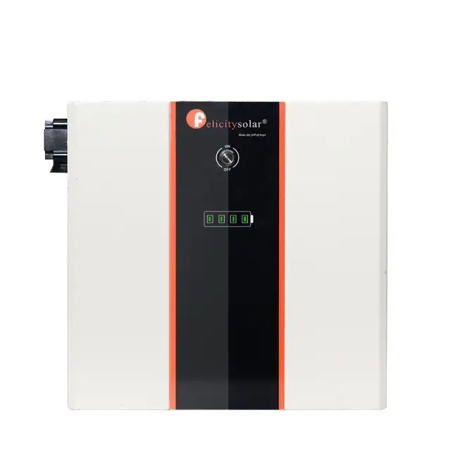 Lifepo4 Lithium Ion Batteries